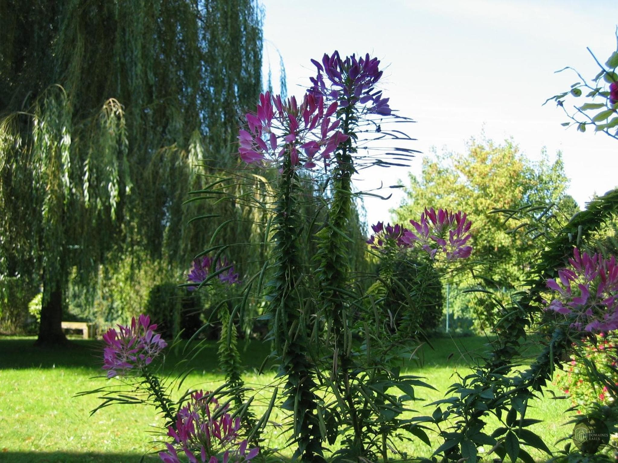 Vue extérieure du relais Relais d'Aumale en Hauts-de-France