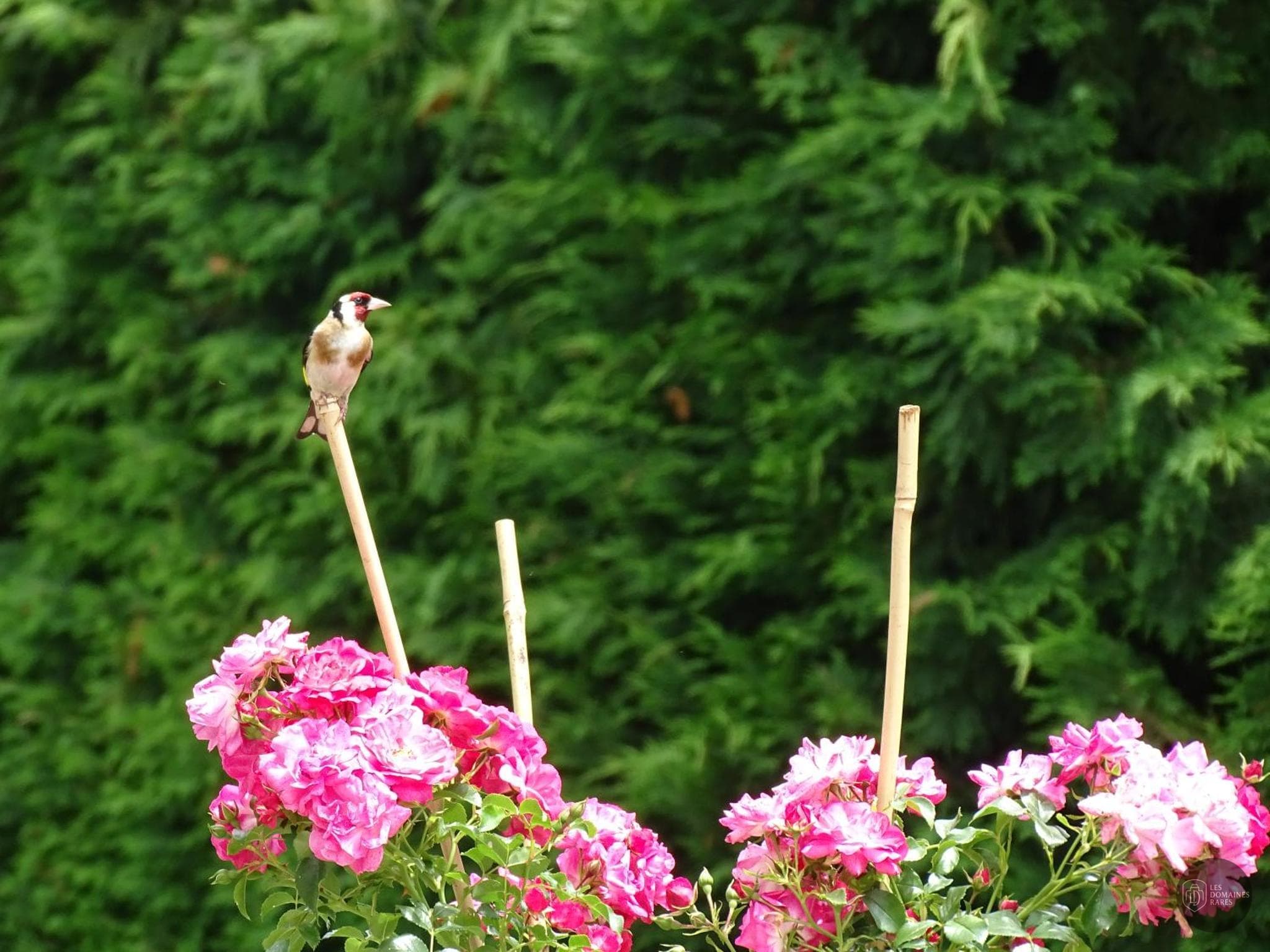Relais des Hayons — vue 3