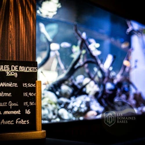 Carte et aquarium du restaurant