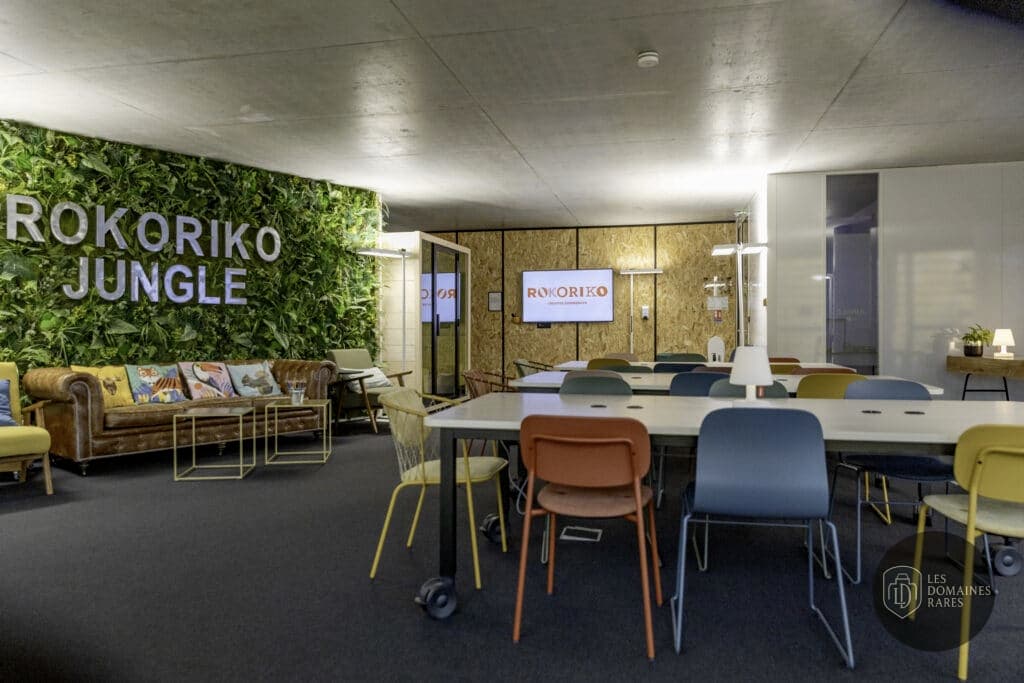 Salle de réunion 5 du lieu Rokoriko à Lyon en Auvergne-Rhône-Alpes