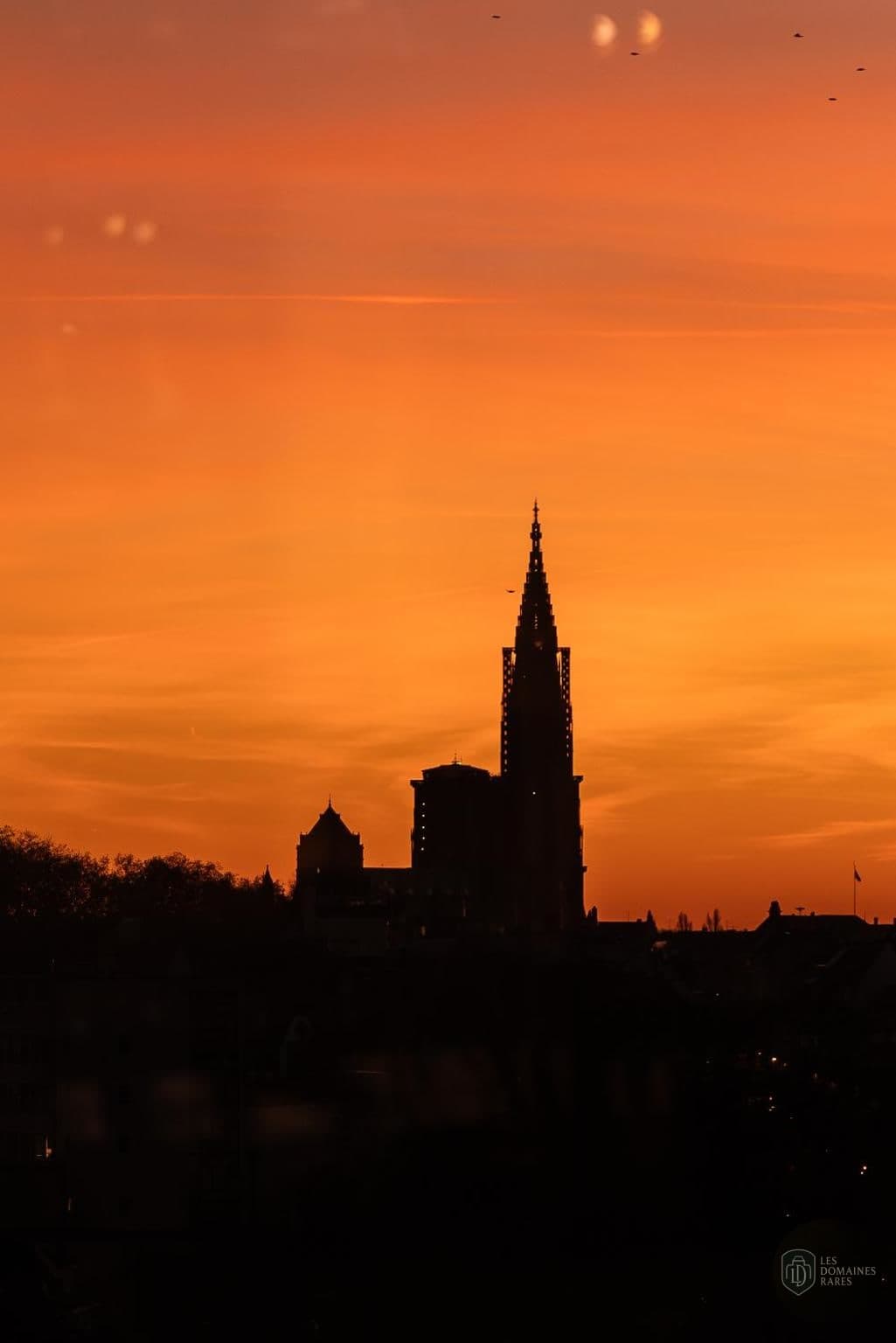 Vue extérieure du lieu SIG Strasbourg à Strasbourg en Grand Est