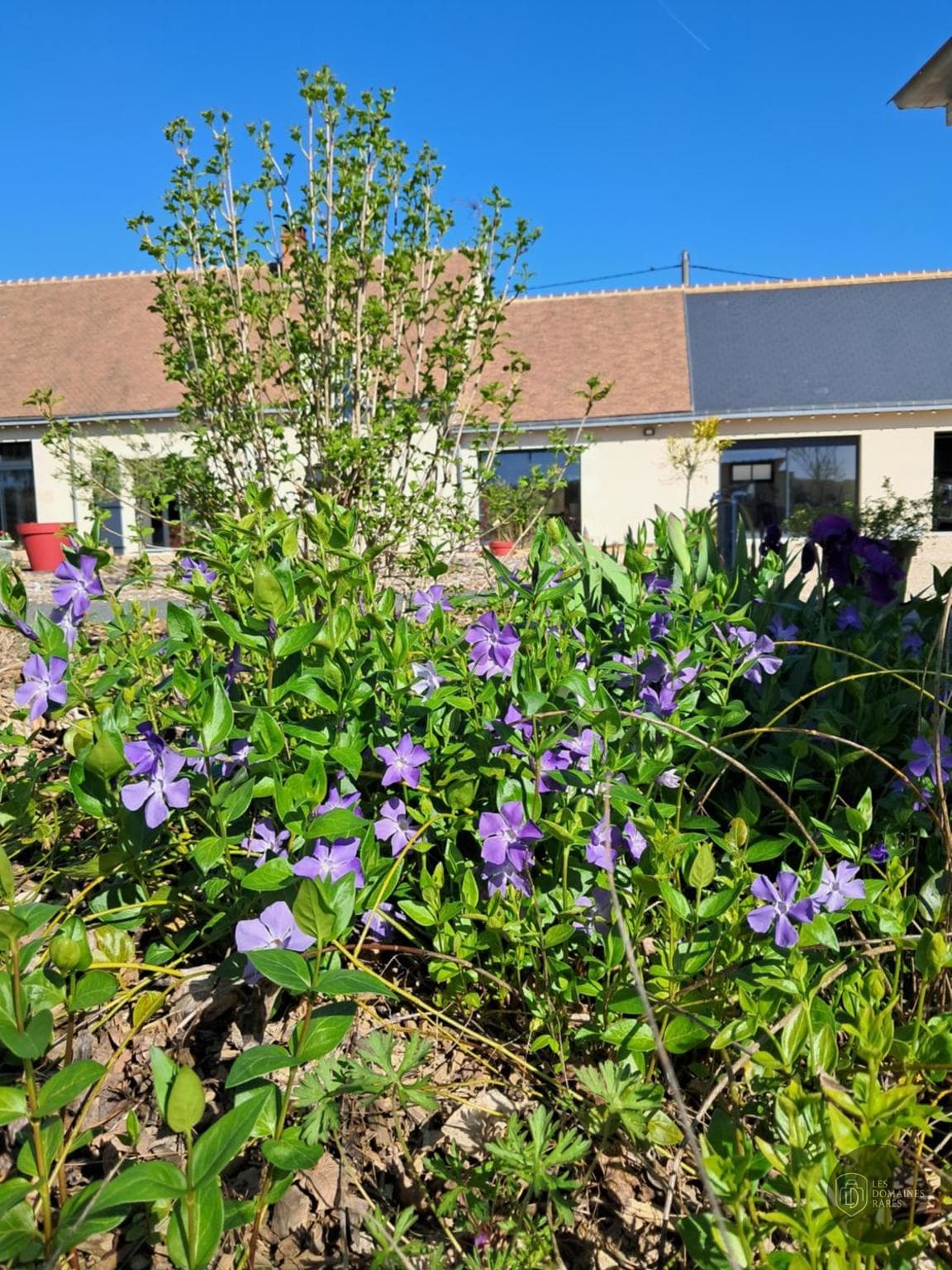 Vue extérieure du lieu Salle Ginkgo à Les en Pays de la Loire
