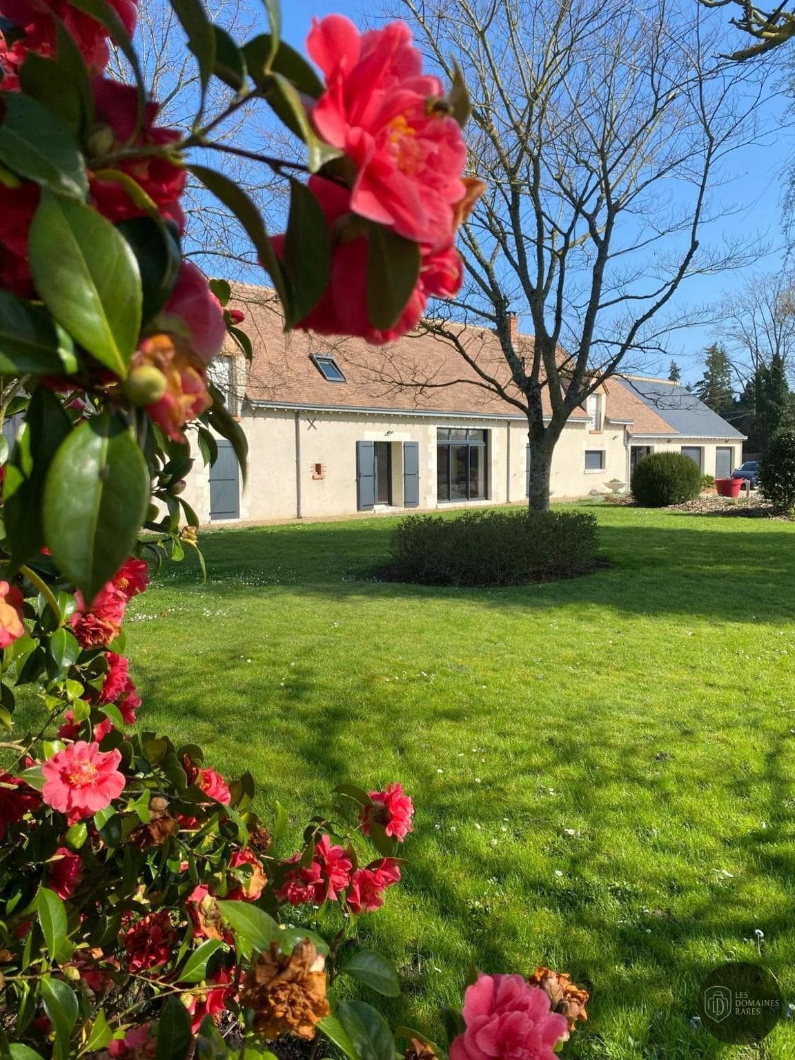 Vue extérieure du lieu Salle Ginkgo à Les en Pays de la Loire