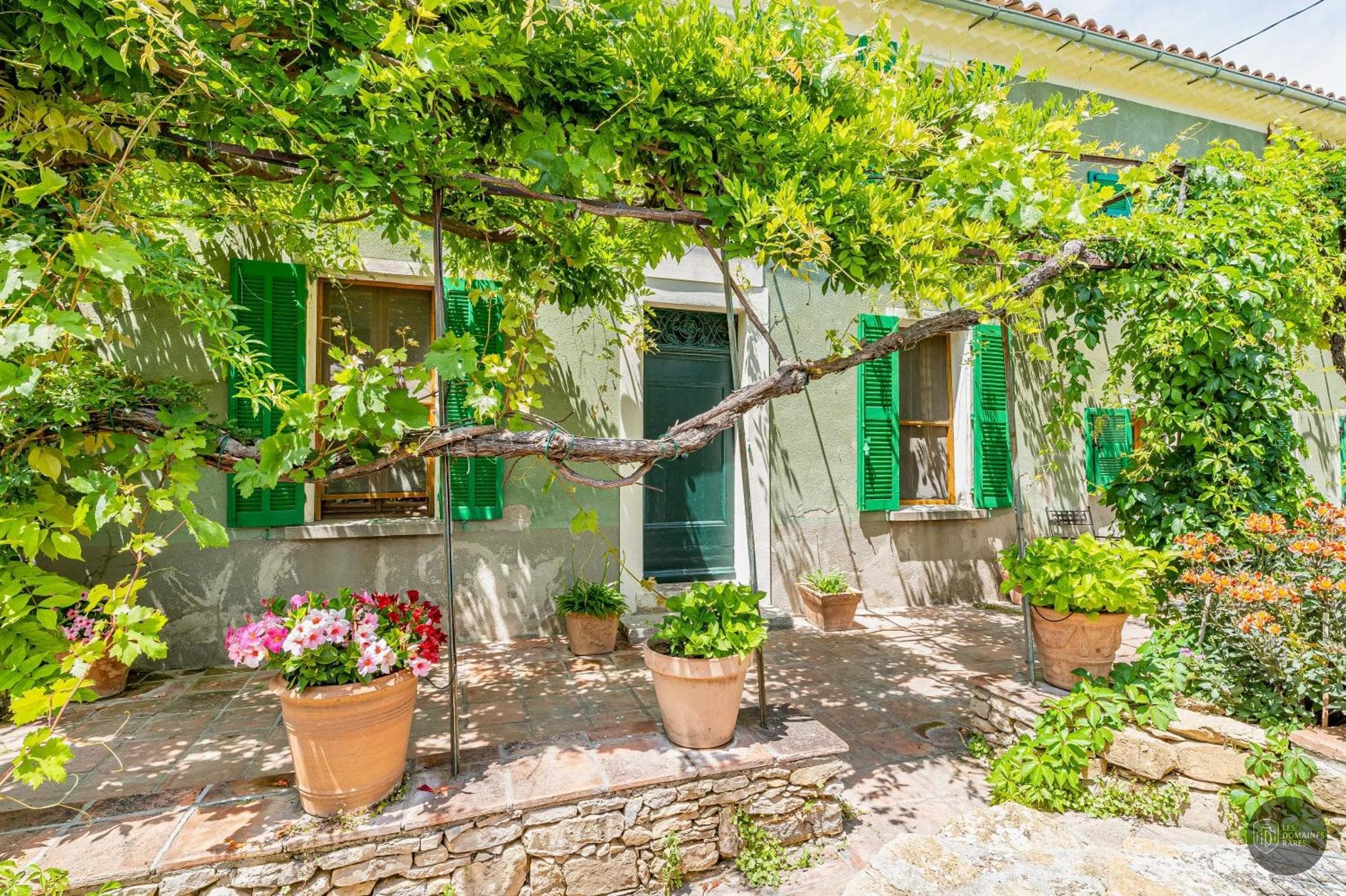 Saveurs de Provence — vue 3
