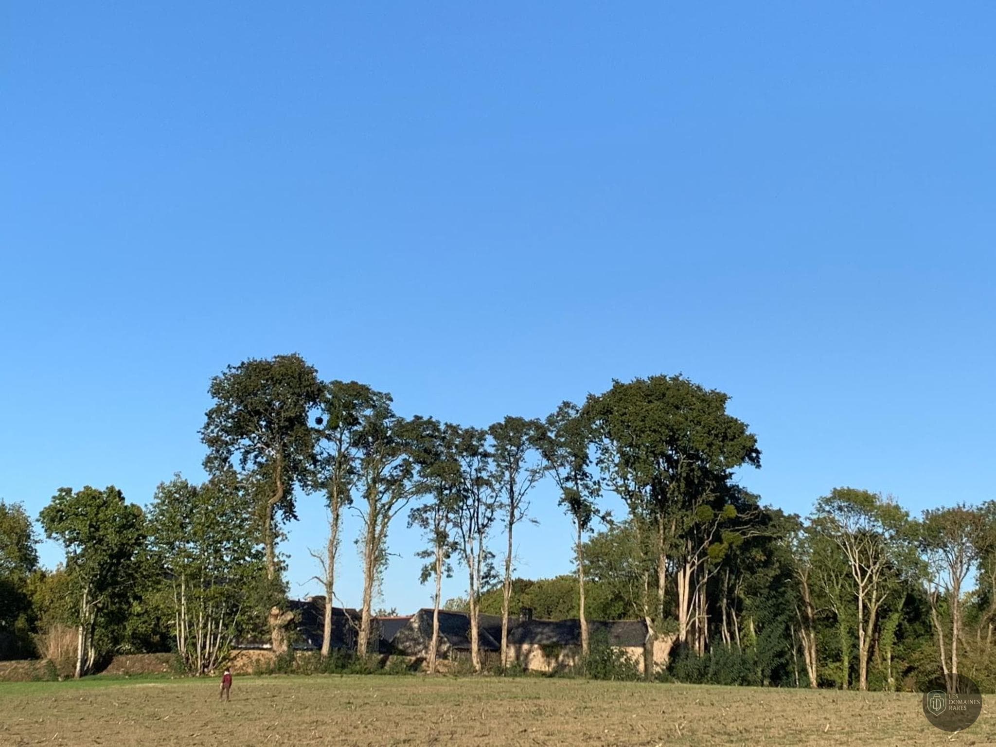 Seigneurie d'Alleray — Extérieur