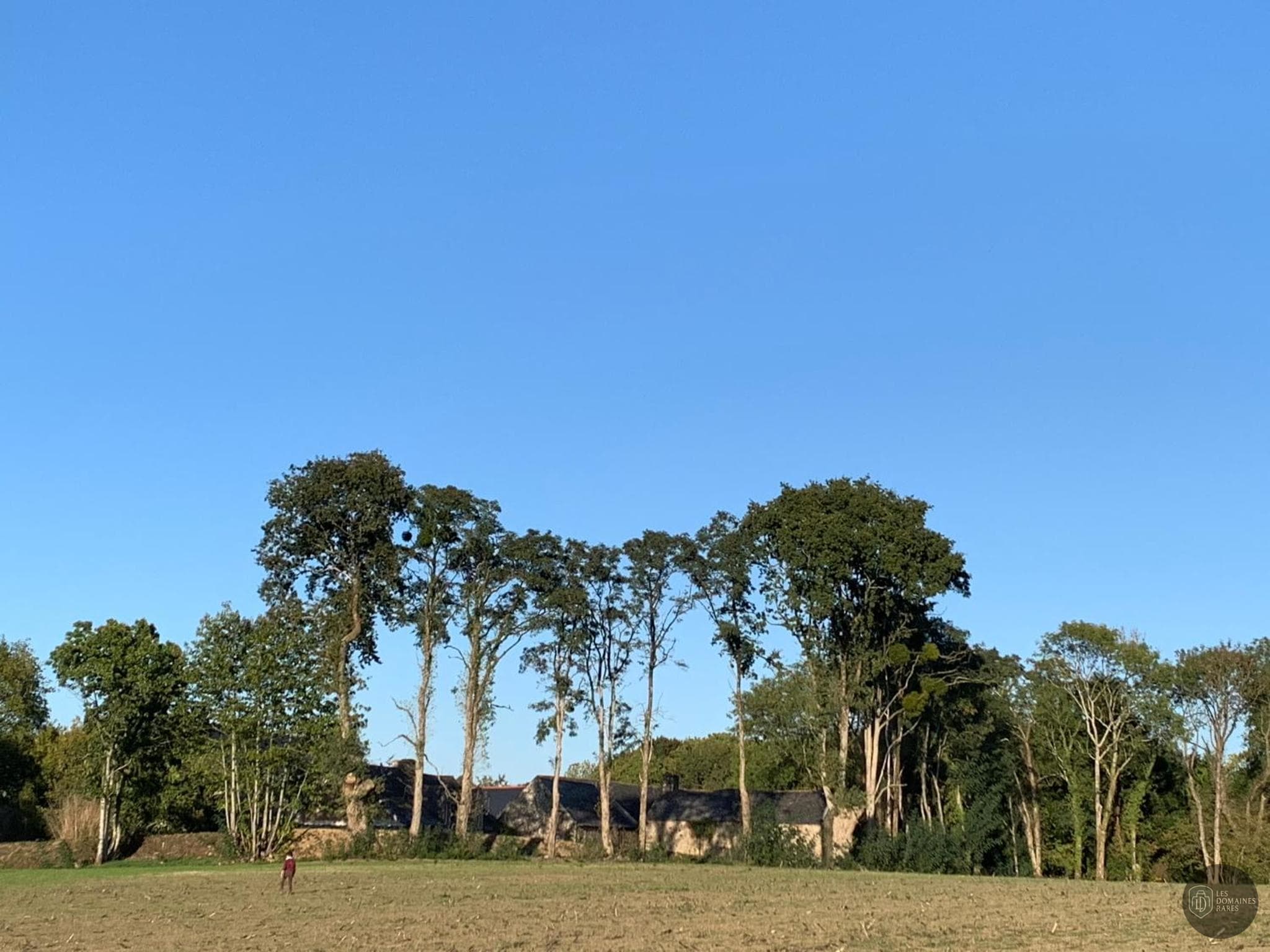 Seigneurie d'Alleray — Extérieur