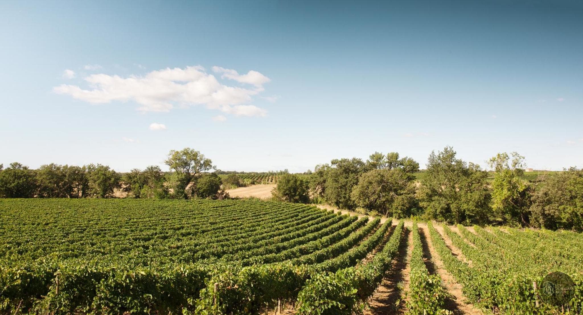 Chambre du domaine Seigneurie de Peyrat à Pézenas en Occitanie