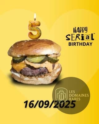 Vue du restaurant Serial Burger à Metz en Grand Est