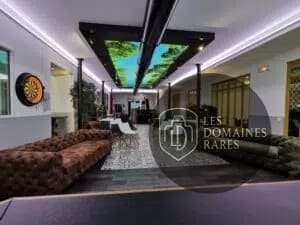 Espace détente avec canapés et fauteuils