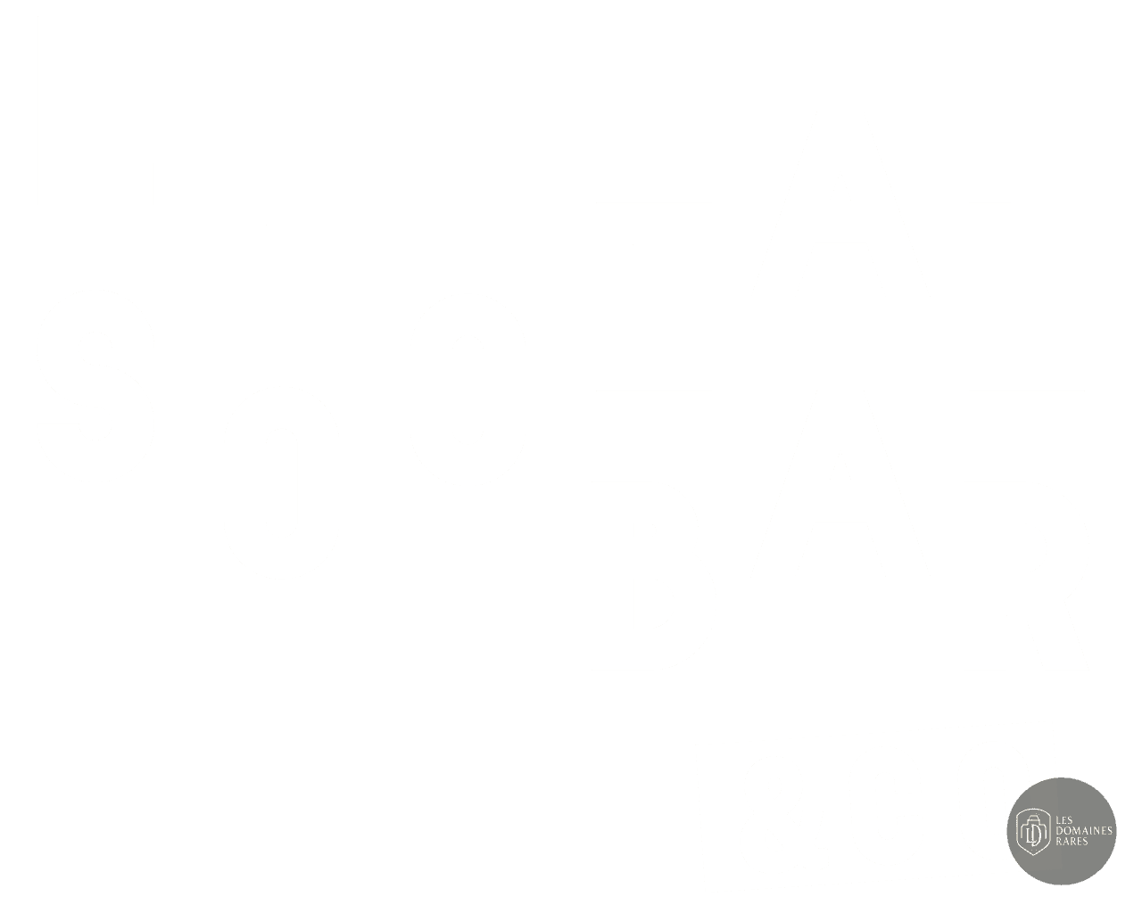 Vue du lieu Social Bar Strasbourg en Grand Est