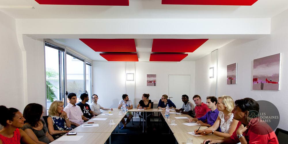 Salle de réunion avec participants autour