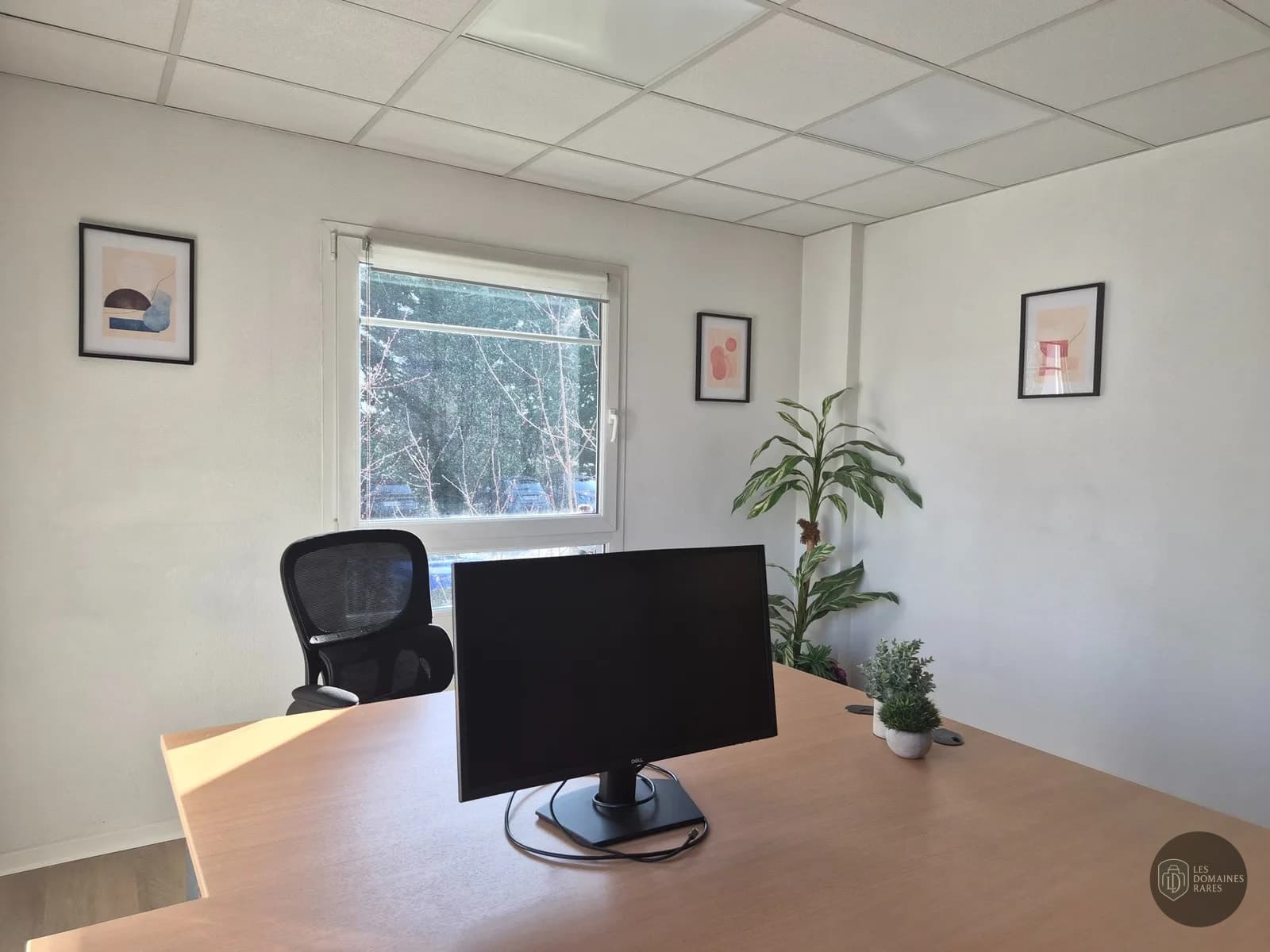Salle de réunion 4 du lieu Telexal à Mundolsheim en Grand Est
