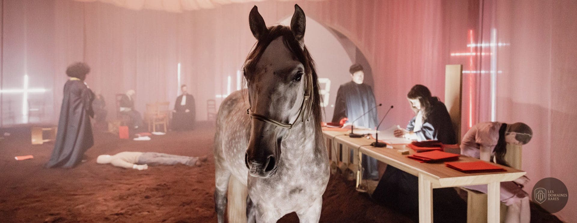 Scène de théâtre avec un cheval