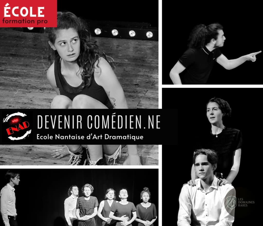 Vue du lieu Théâtre du Sphinx à Nantes en Pays de la Loire