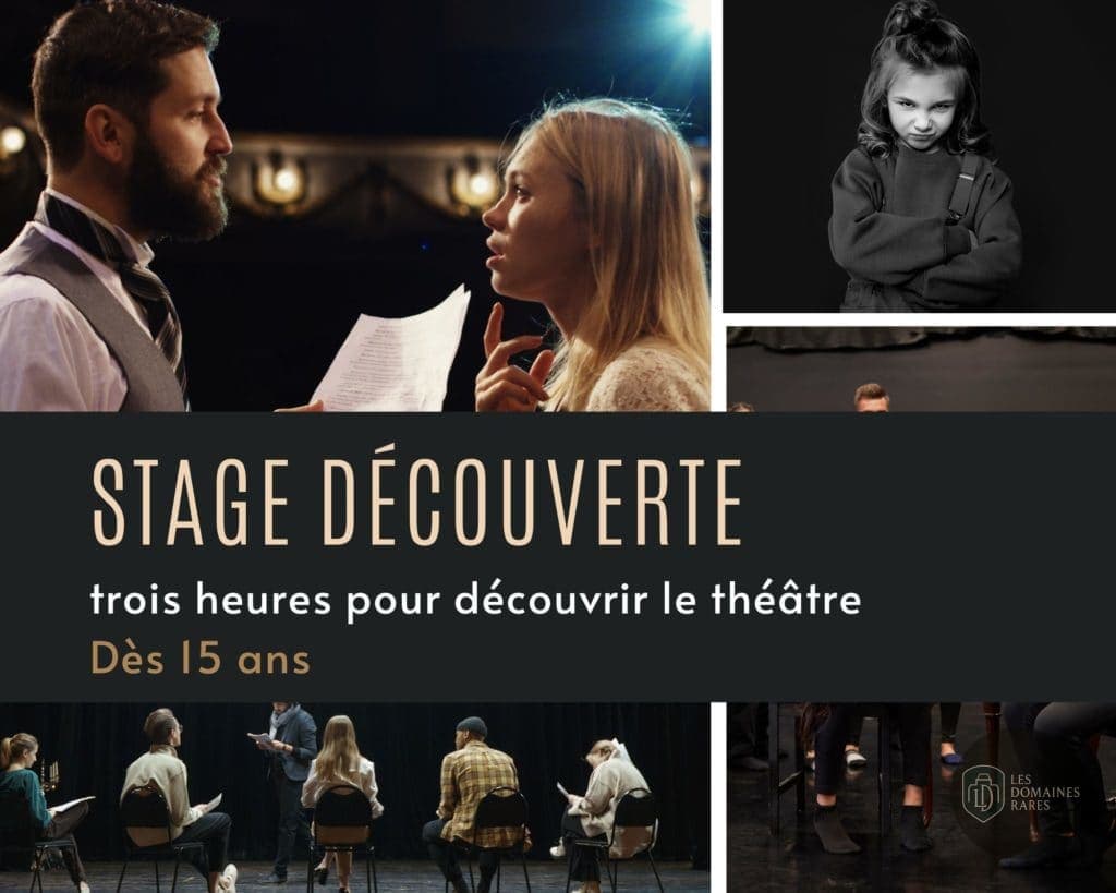Vue du lieu Théâtre du Sphinx à Nantes en Pays de la Loire