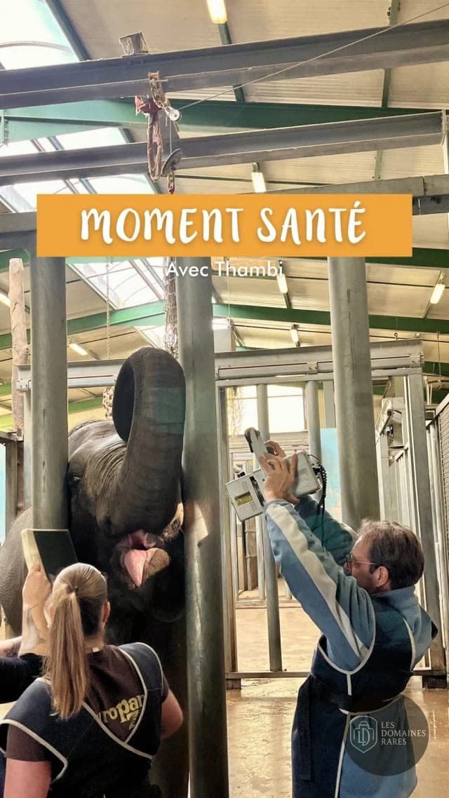 Vue du lieu Touroparc Zoo en Bourgogne-Franche-Comté