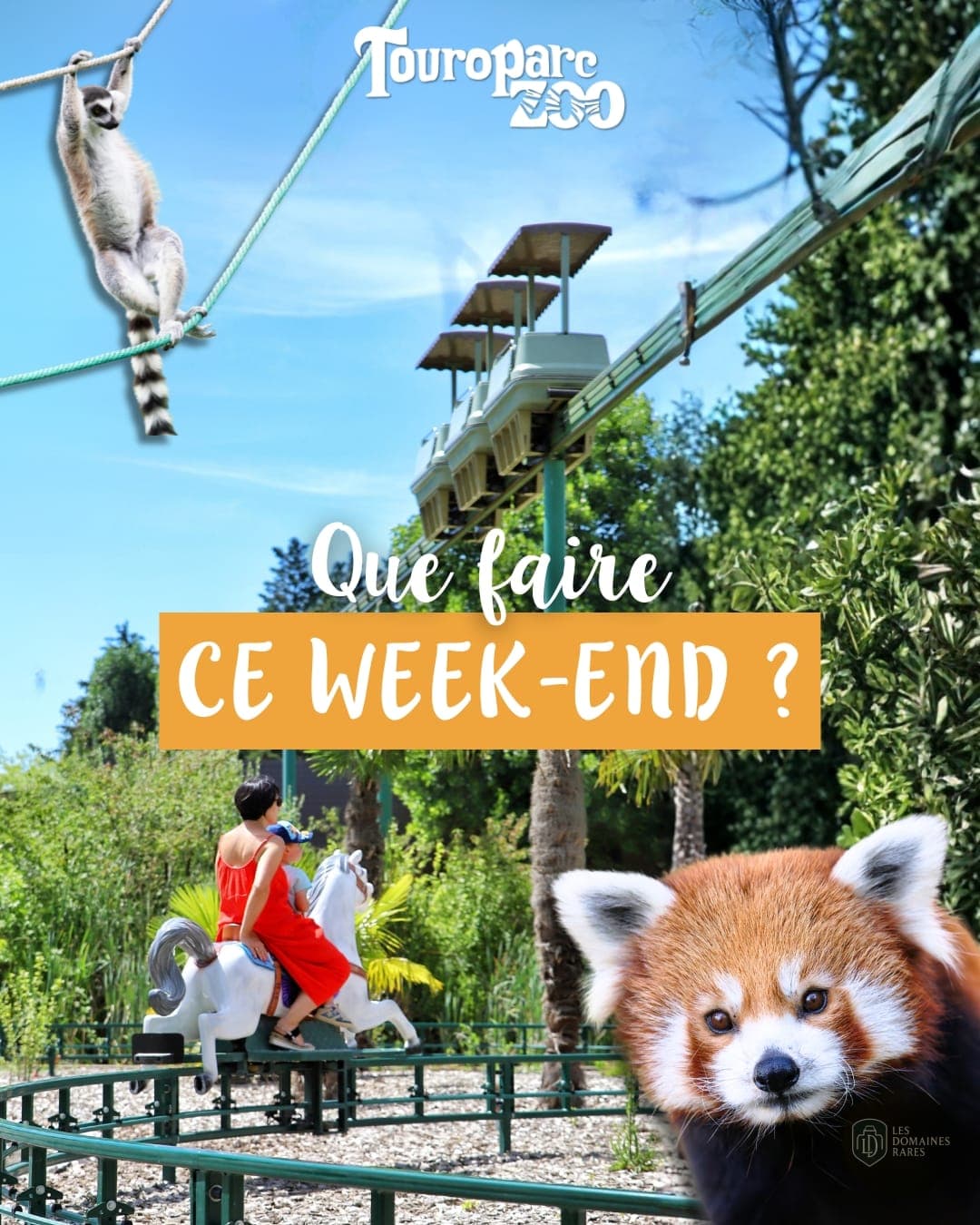 Piscine et activités du lieu Touroparc Zoo en Bourgogne-Franche-Comté