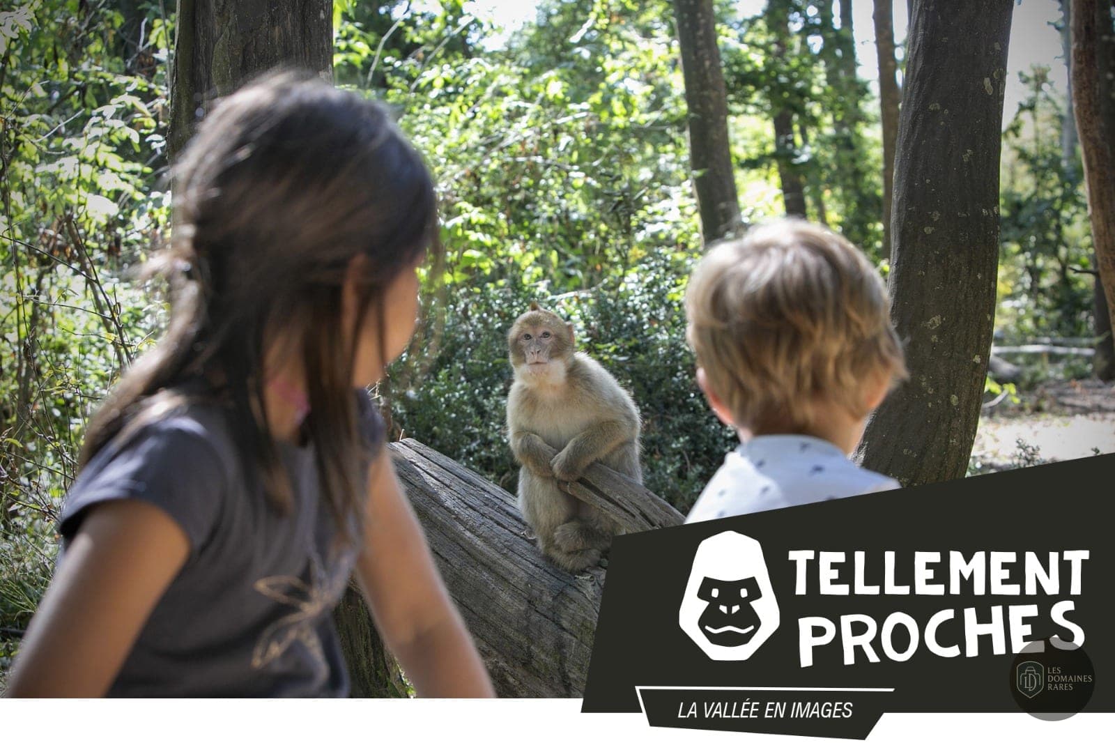 Vue du lieu Vallée des Singes à Romagne en Nouvelle-Aquitaine