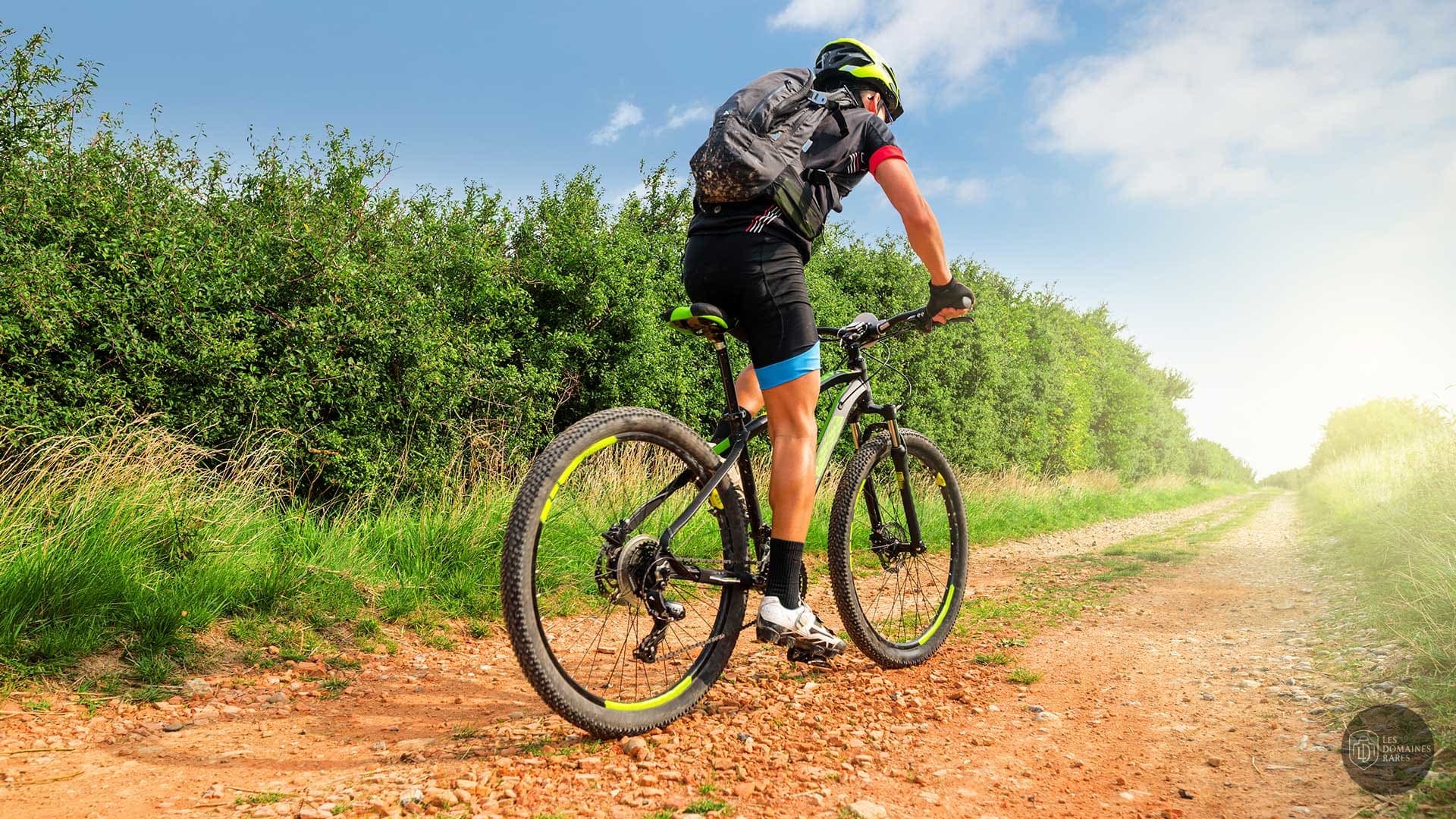 Veloscope