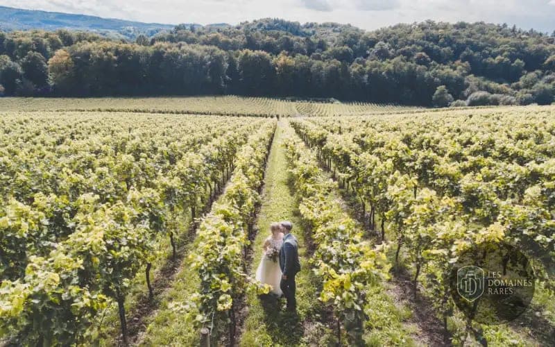 Vue extérieure du lieu Vignoble Marchais en Pays de la Loire