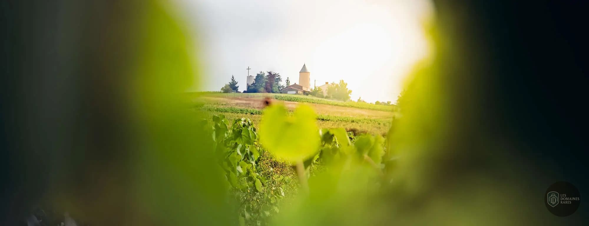 Vue extérieure du lieu Vignoble Marchais en Pays de la Loire
