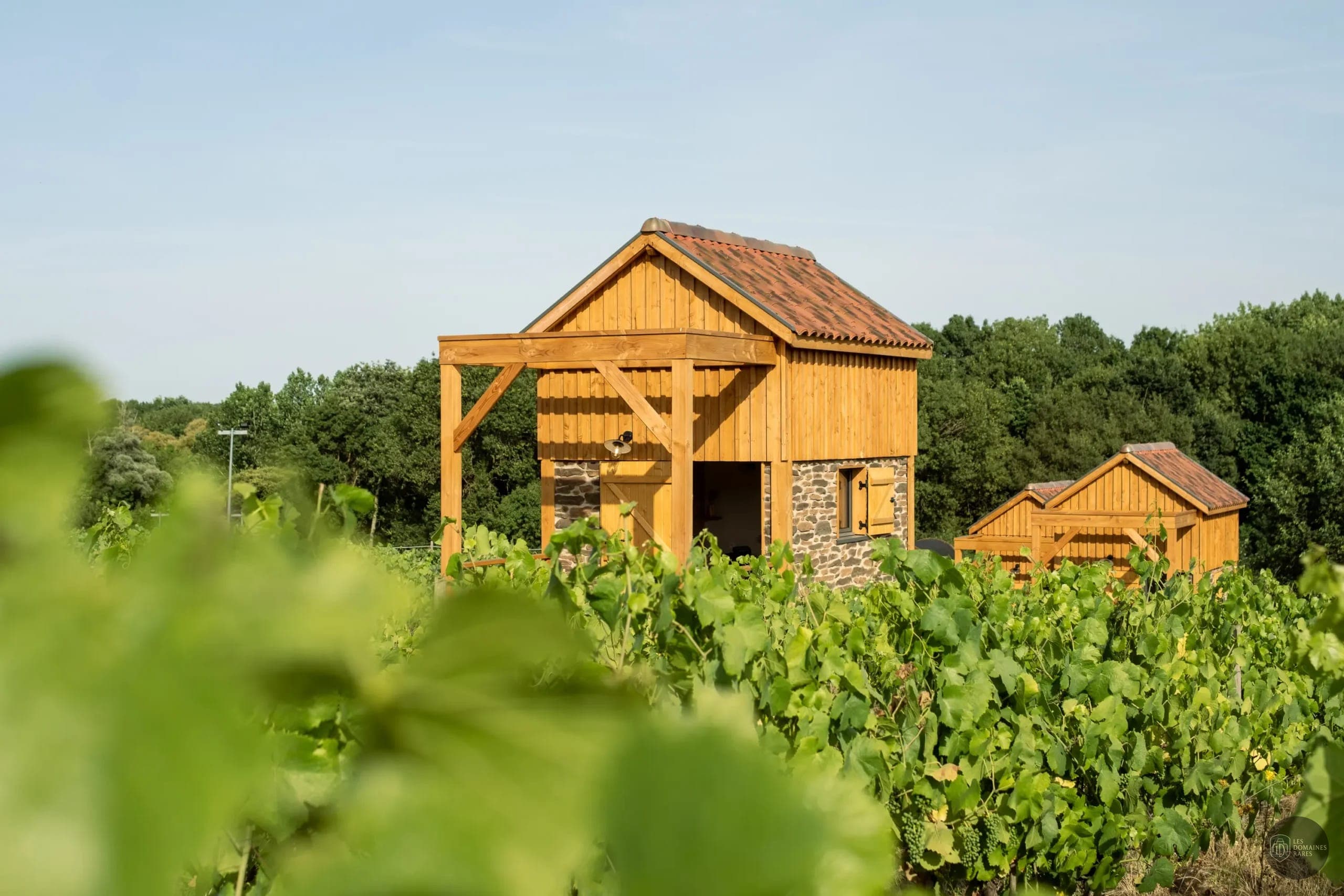 Vue extérieure du lieu Vignoble Marchais en Pays de la Loire