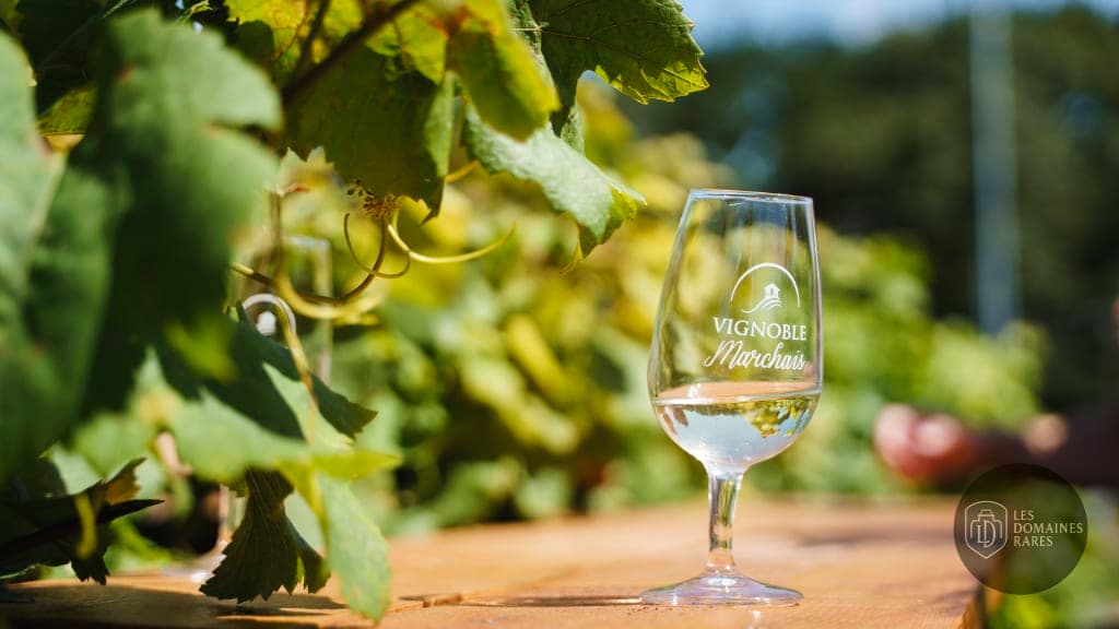 Restaurant du lieu Vignoble Marchais en Pays de la Loire - séminaire le landreau, france