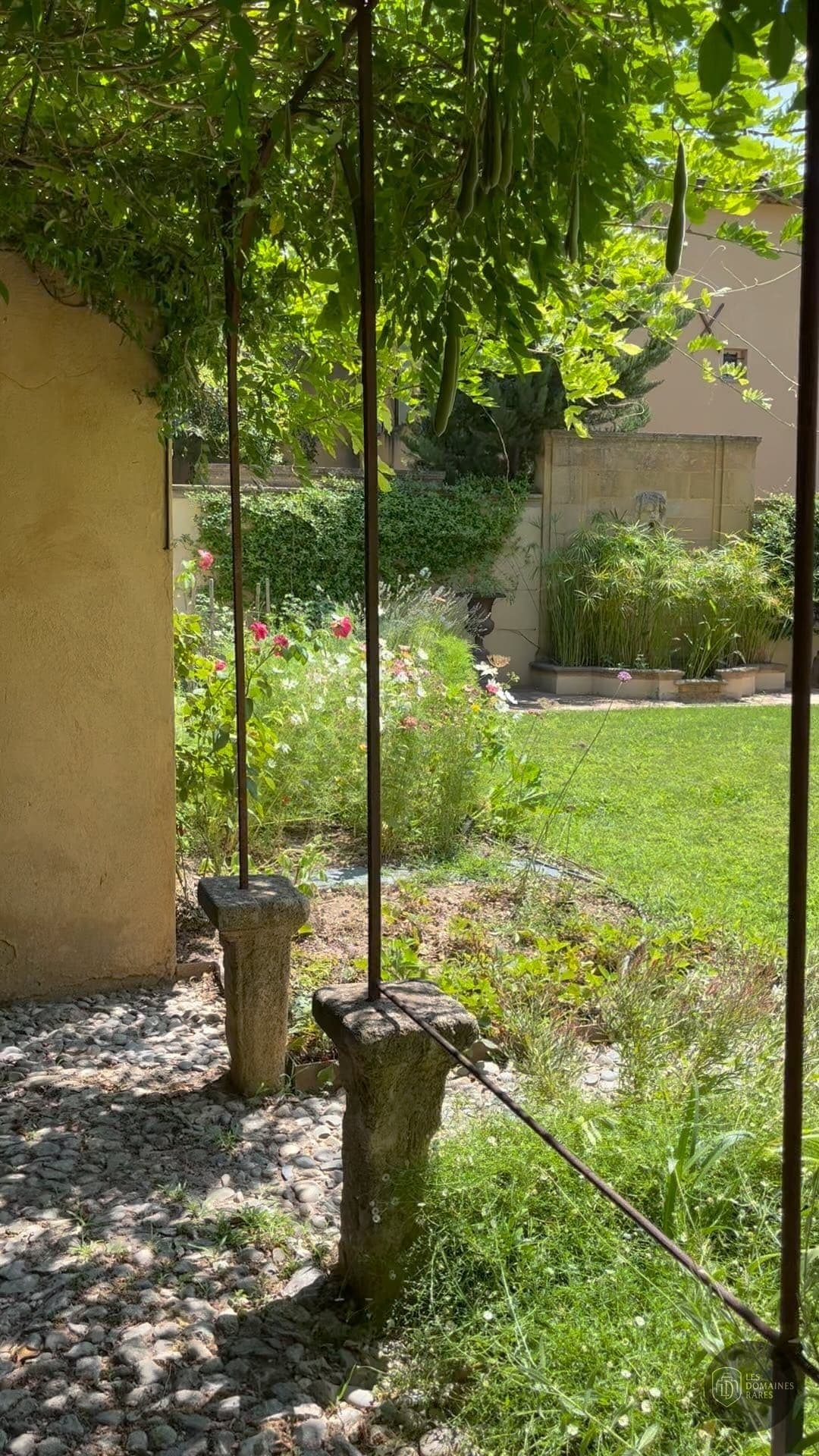 Jardin intimiste avec végétation luxuriante