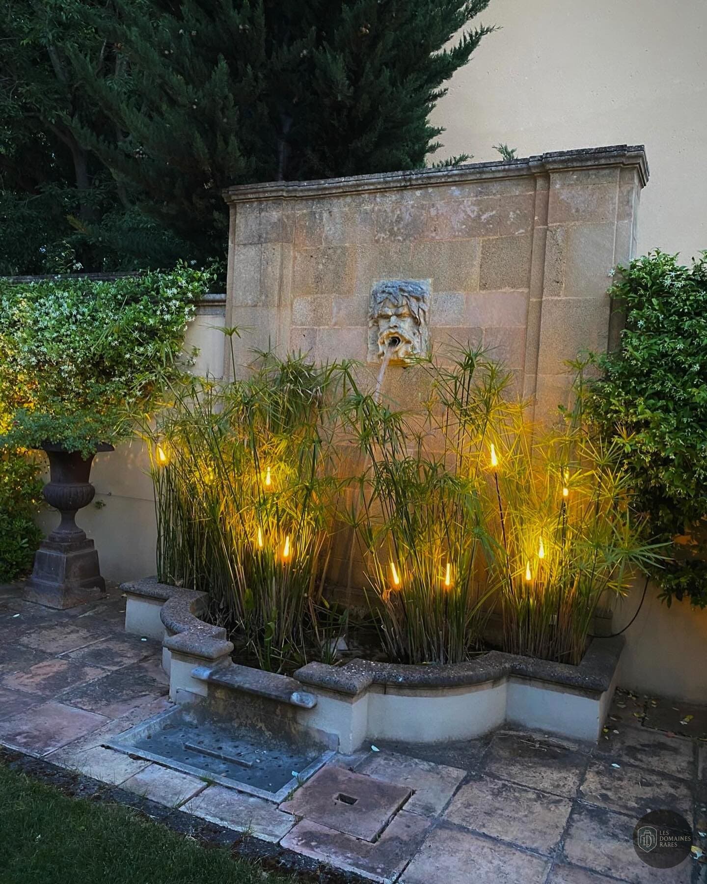Fontaine illuminée dans le jardin de nuit