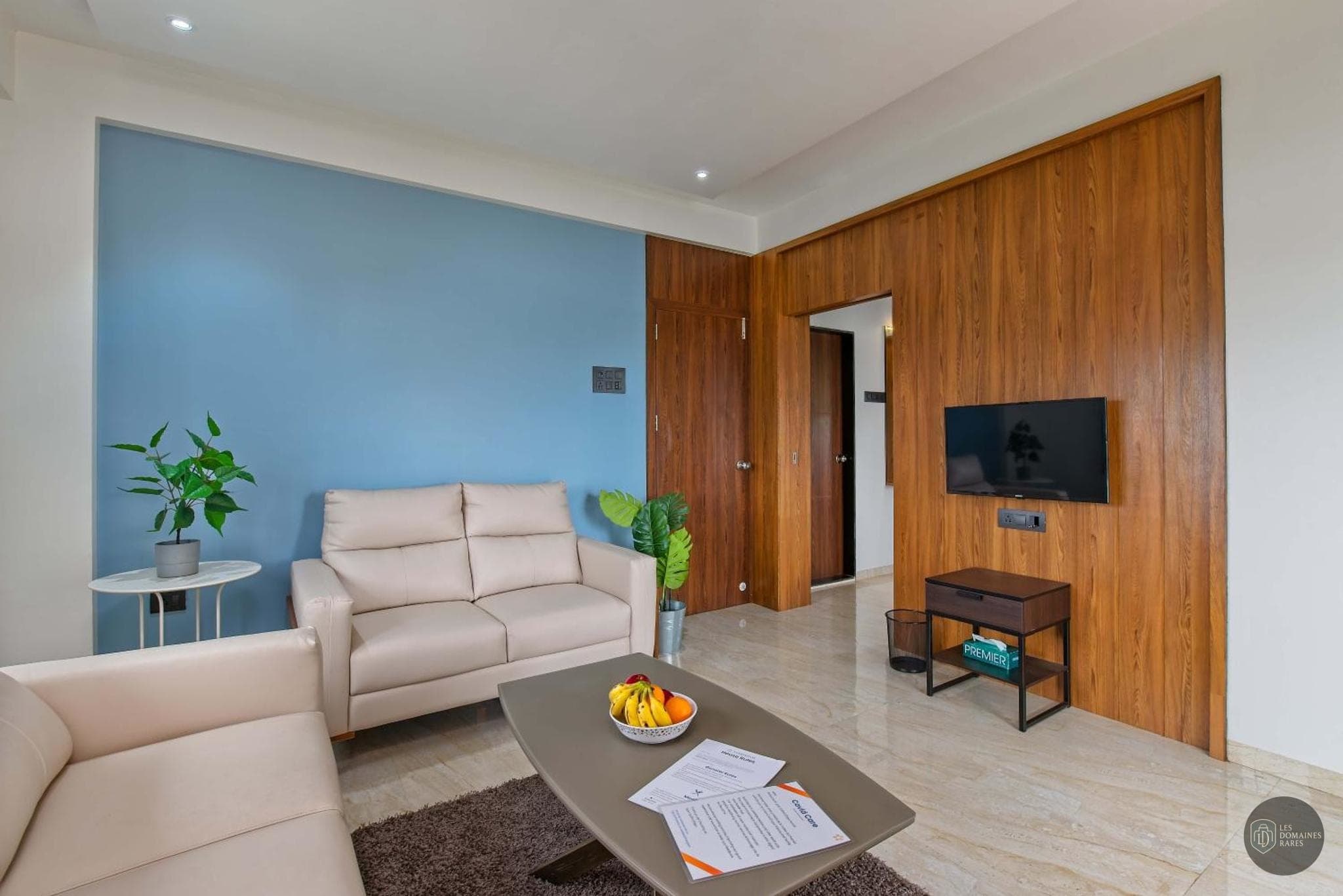 Piscine et activités de la villa Villa Artwork en Occitanie