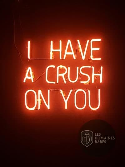 Néon décoratif 'I have a crush'
