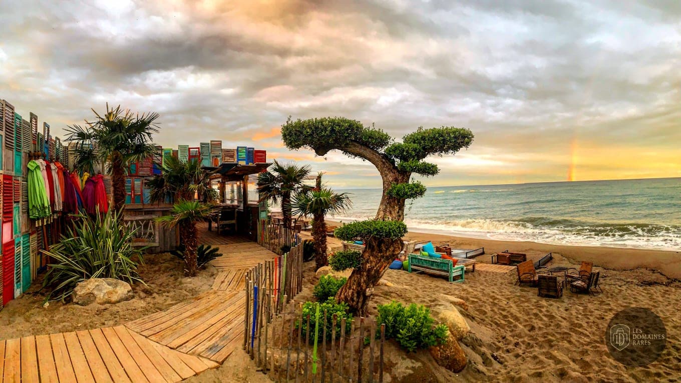 Restaurant de plage et bord de mer