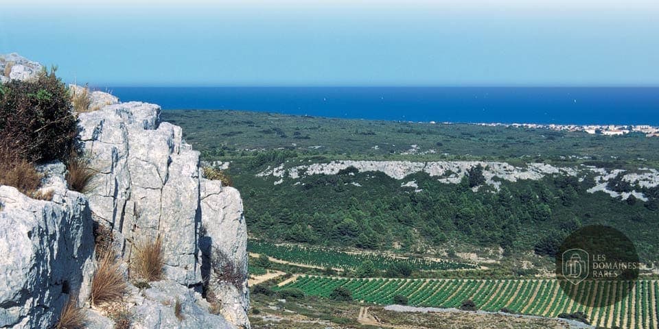 Vue sur la mer depuis La Clape