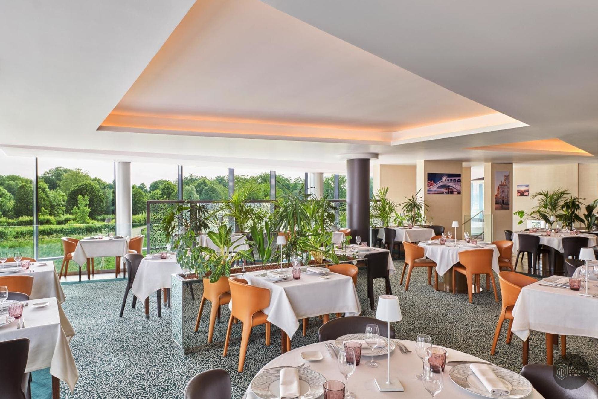 Restaurant du lieu Wojo Lille à Lille en Hauts-de-France