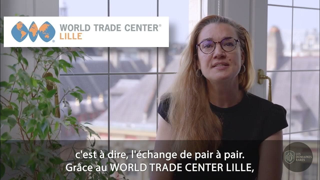Vue du lieu World Trade Center Lille à Euralille en Hauts-de-France
