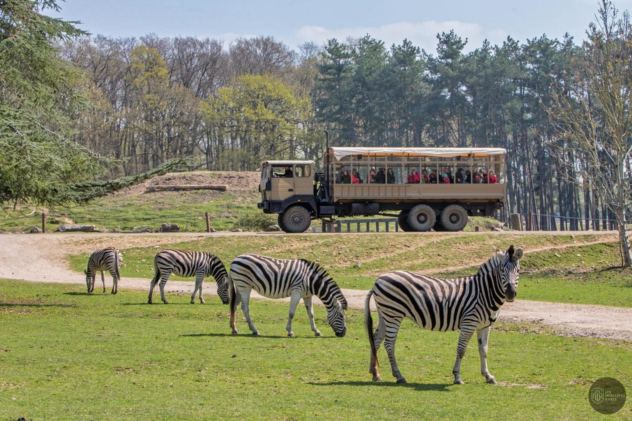 Wow Safari Thoiry — Extérieur