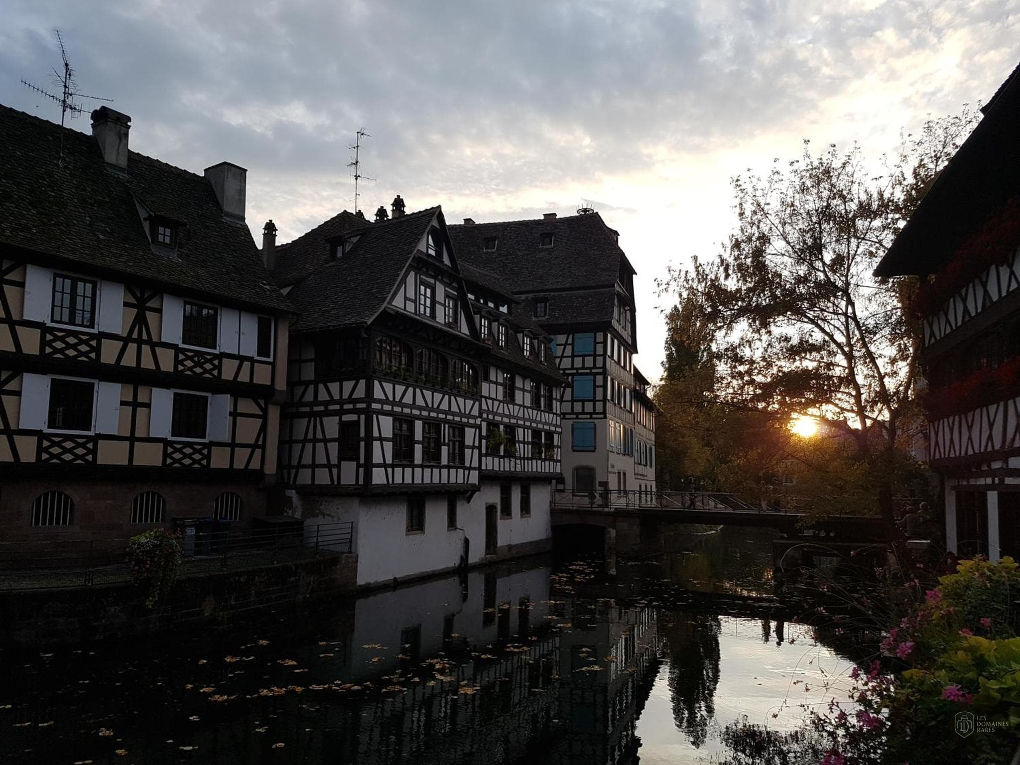 Vue extérieure du lieu Zenith Strasbourg à Strasbourg en Grand Est