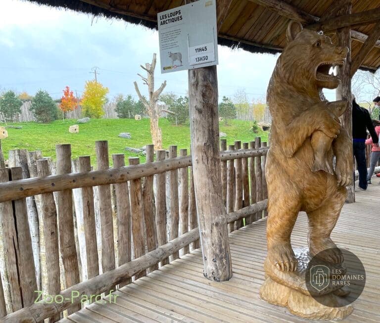 Sculpture d'ours et enclos extérieur