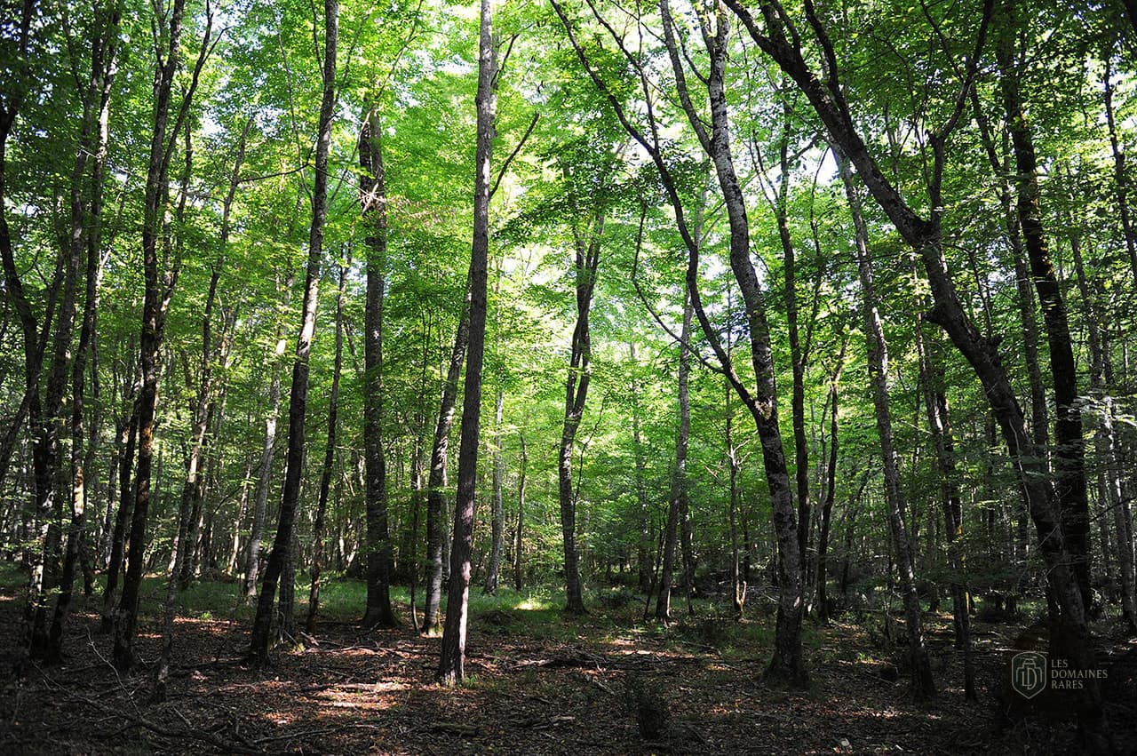 Vue extérieure du lieu Zoodyssée en Nouvelle-Aquitaine