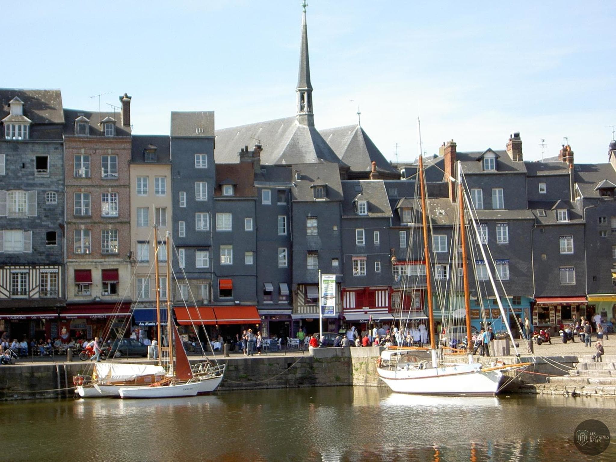 Adonis Les Hauts de Honfleur