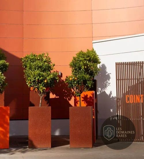Carré Cointreau