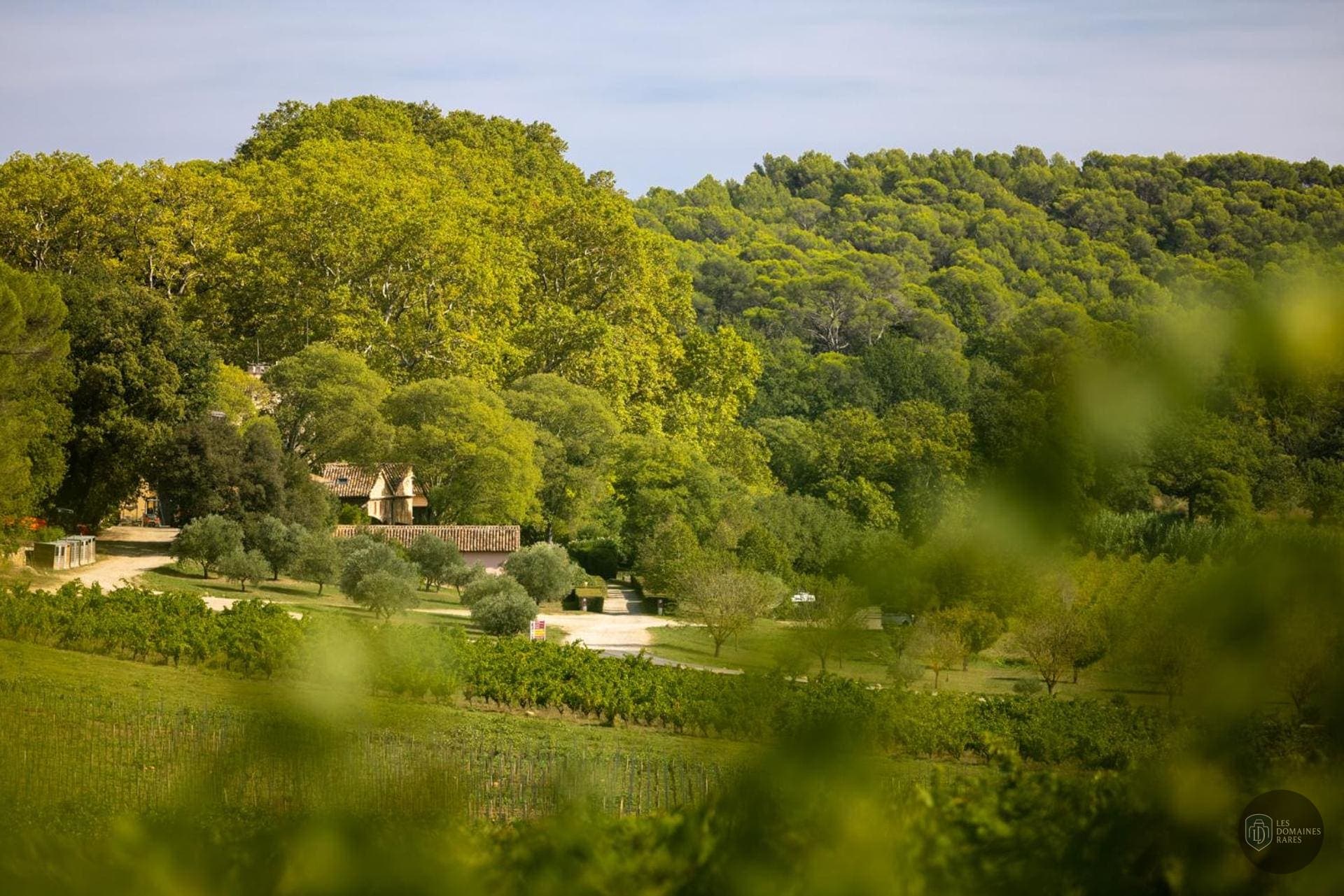 Château Mentone