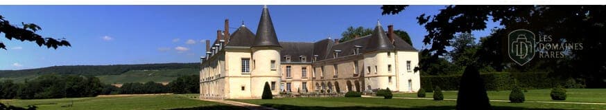 Château de Condé