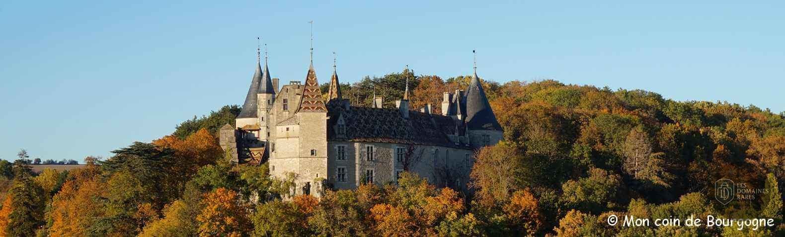 Château de La Rochepot