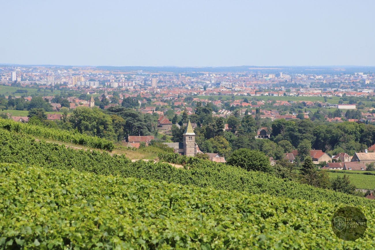 Château de Marsannay