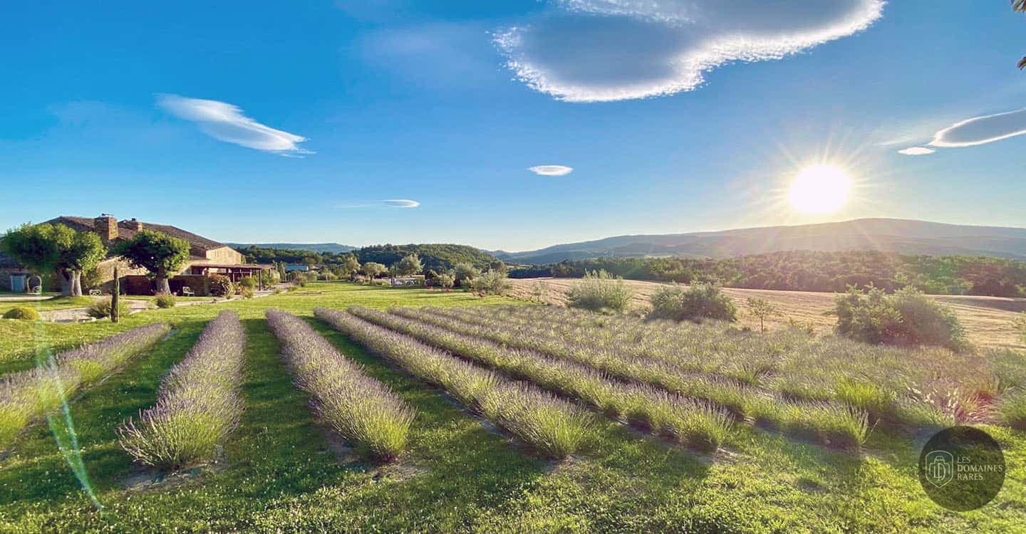 Clos du Tuilier