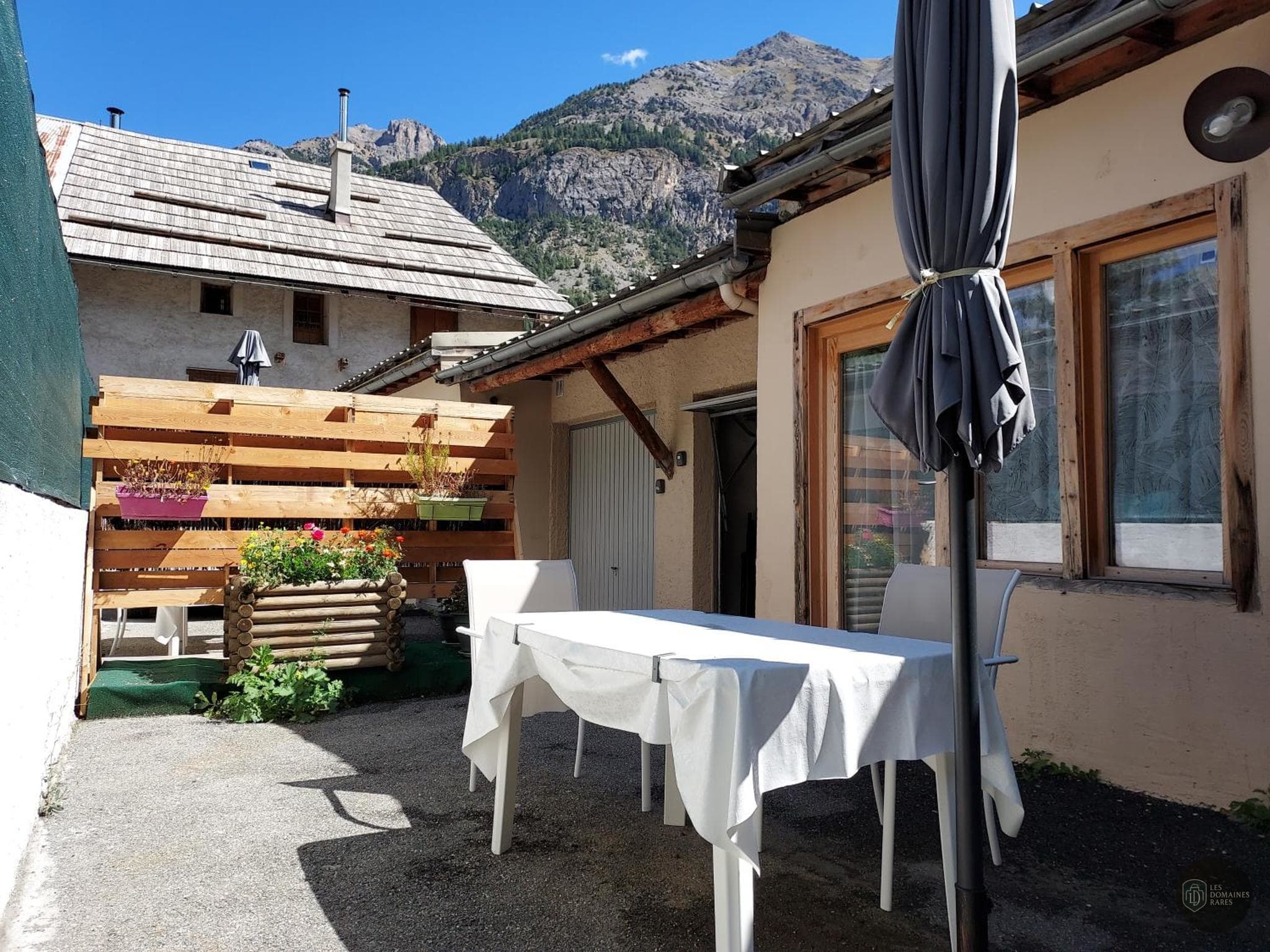 Colibri des champs