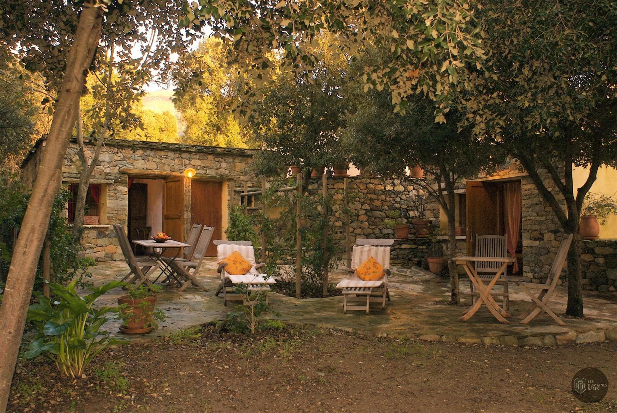 Corsica Linea - Cap Affaires