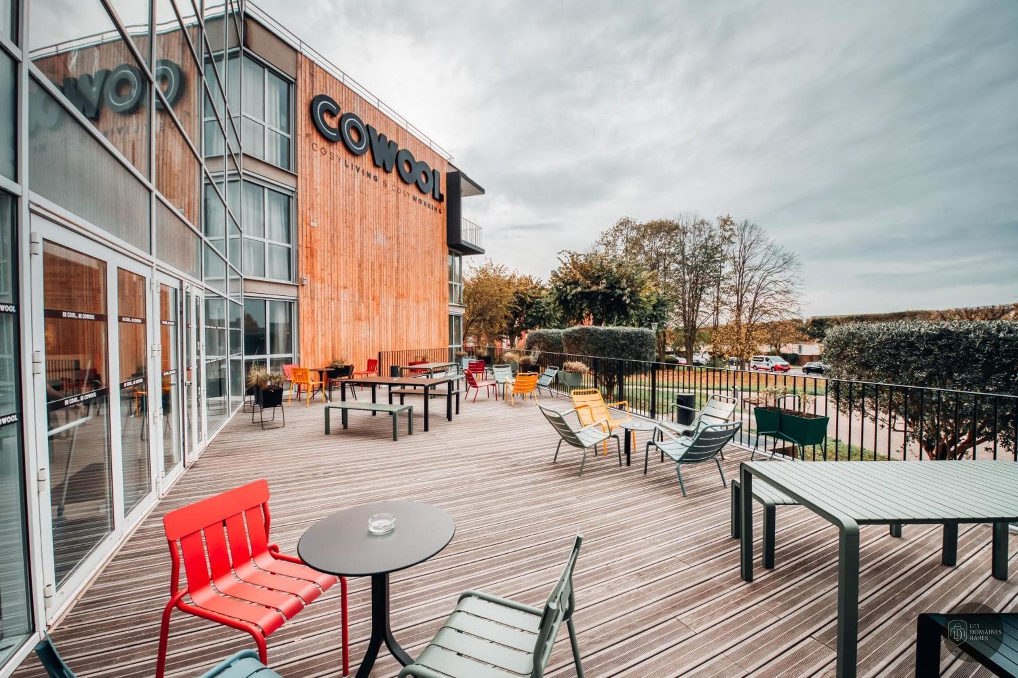 Cowool Cergy