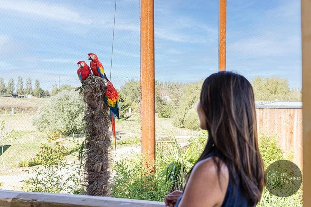 Domaine de Crécy - Parrot World